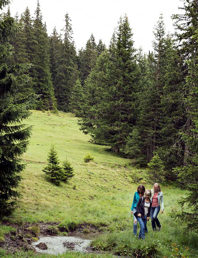Sattelbergalm-Aktivitaeten-Outdoor-Bewegung-Natur-Sommer-Wandern